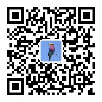 功臣猫企服平台-阳超控股集团旗下 客服微信